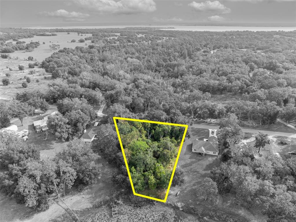 Royal Oak Road Fruitland Park, FL 34731 - Photo 20 of 26 a view of a plant in a field