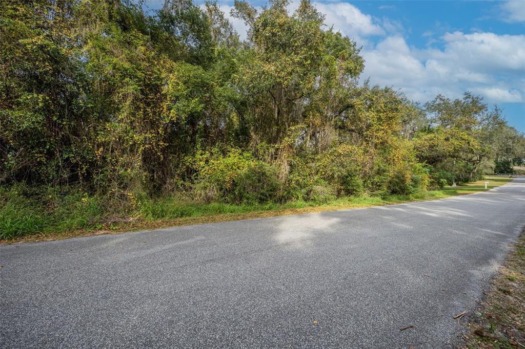 Royal Oak Road Fruitland Park, FL 34731 - Photo 4 of 26 a view of a yard with a tree