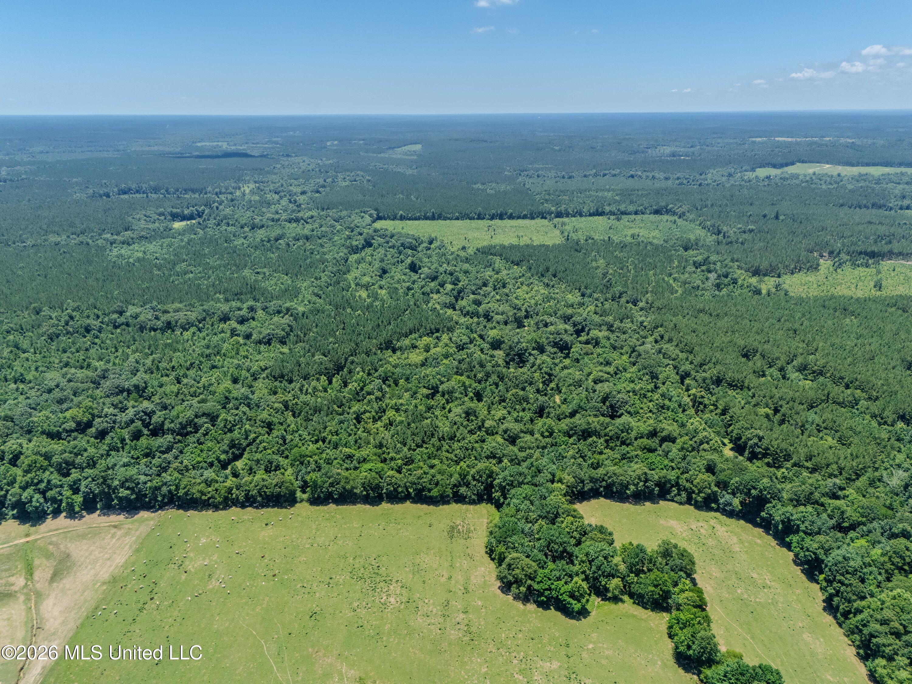 23 Co Road Bay Springs, MS 39422 - Photo 47 of 64 DJI_20260611122852_0014_D