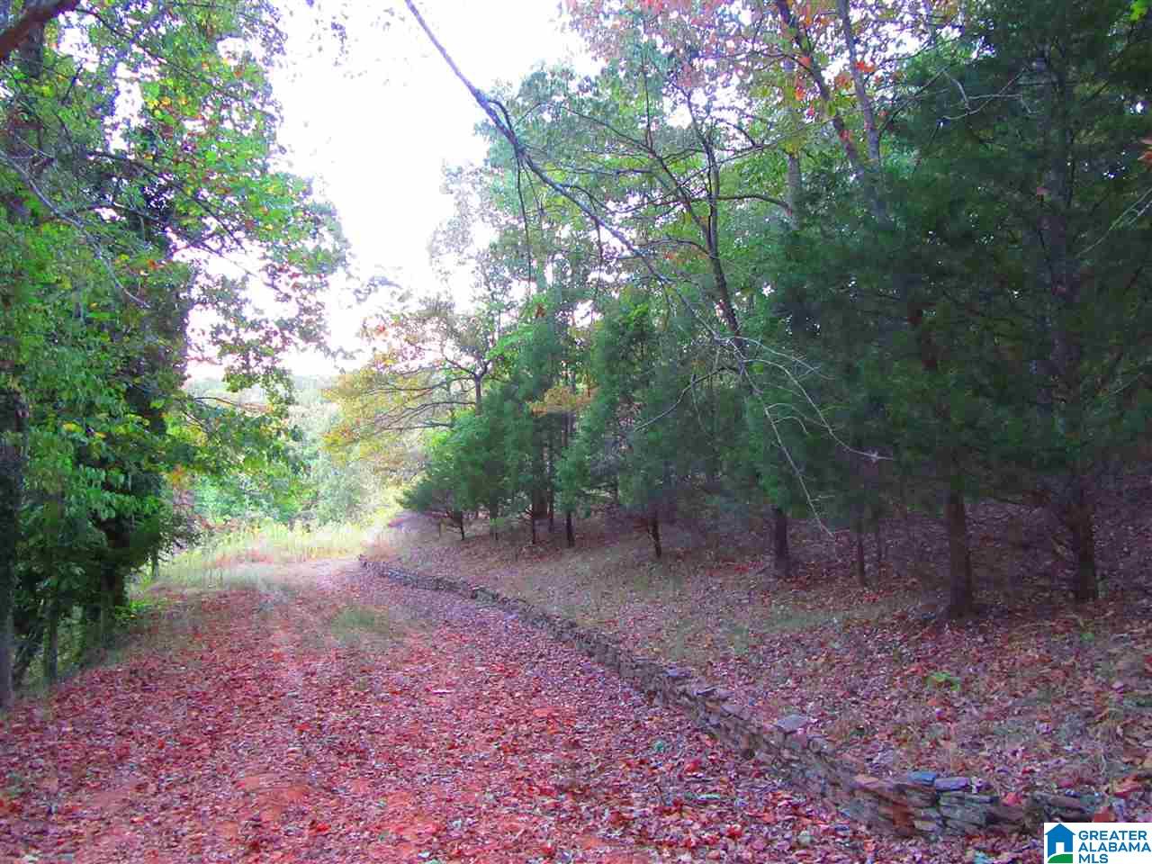 281 Wedowee Al, Unit 1 Wedowee, AL 36278 - Photo 3 of 3