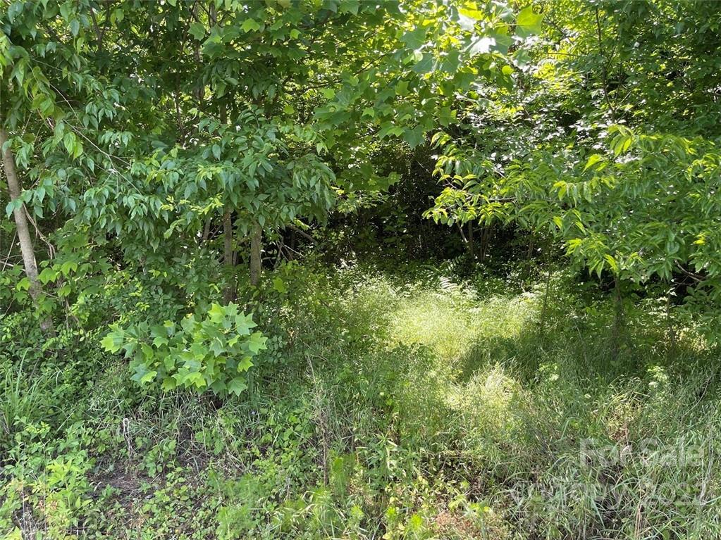 1 Cline Road Mount Ulla, NC 28125 - Photo 4 of 12 a view of a lush green forest