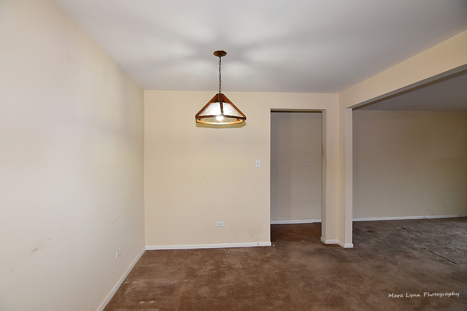 1220 South Lorraine Road, Unit 3F Wheaton, IL 60189 - Photo 14 of 23