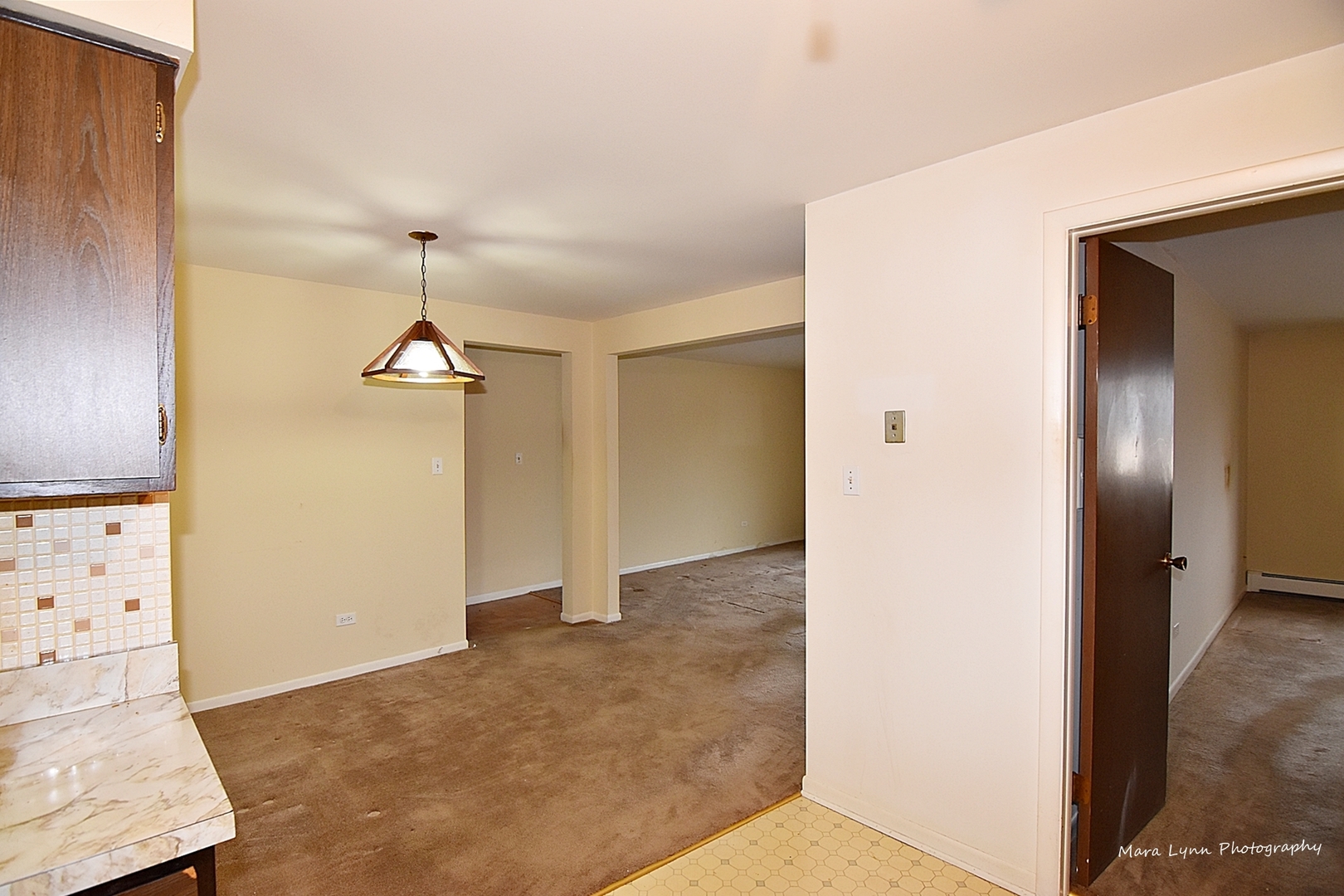 1220 South Lorraine Road, Unit 3F Wheaton, IL 60189 - Photo 16 of 23