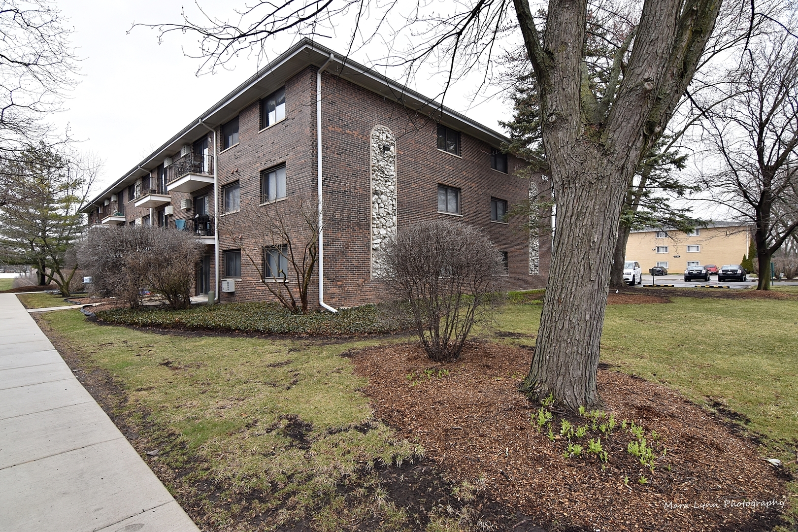 1220 South Lorraine Road, Unit 3F Wheaton, IL 60189 - Photo 4 of 23