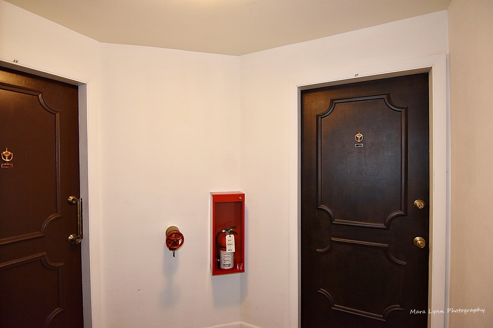 1220 South Lorraine Road, Unit 3F Wheaton, IL 60189 - Photo 6 of 23