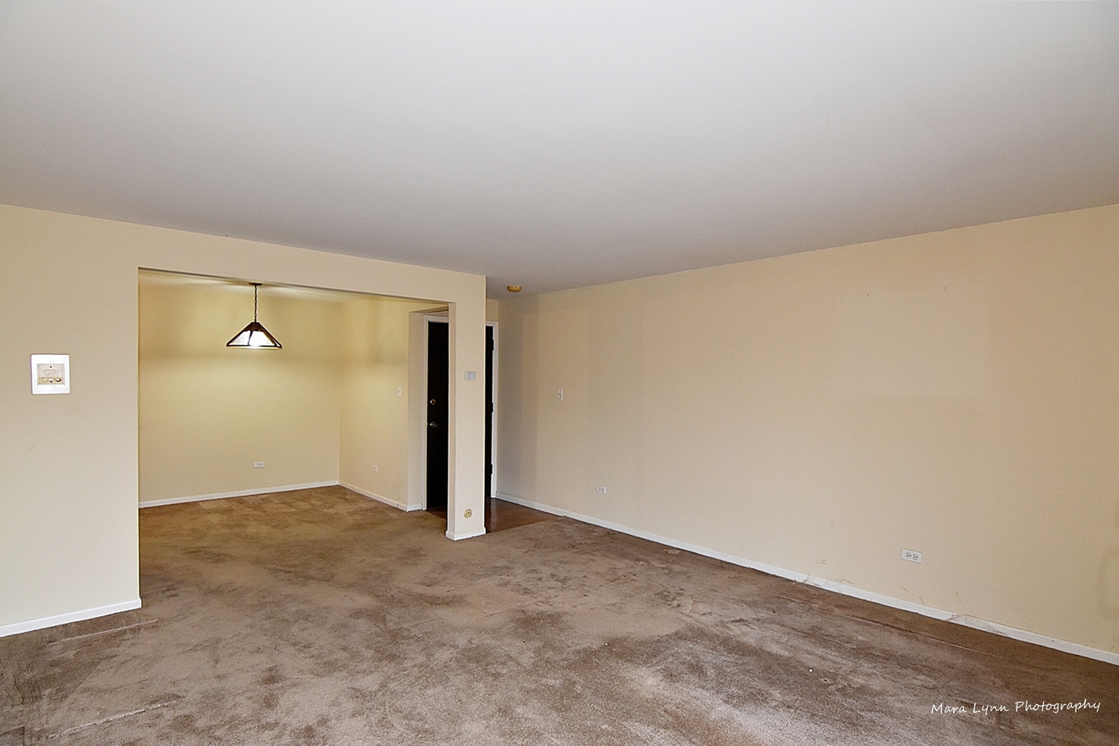 1220 South Lorraine Road, Unit 3F Wheaton, IL 60189 - Photo 9 of 23