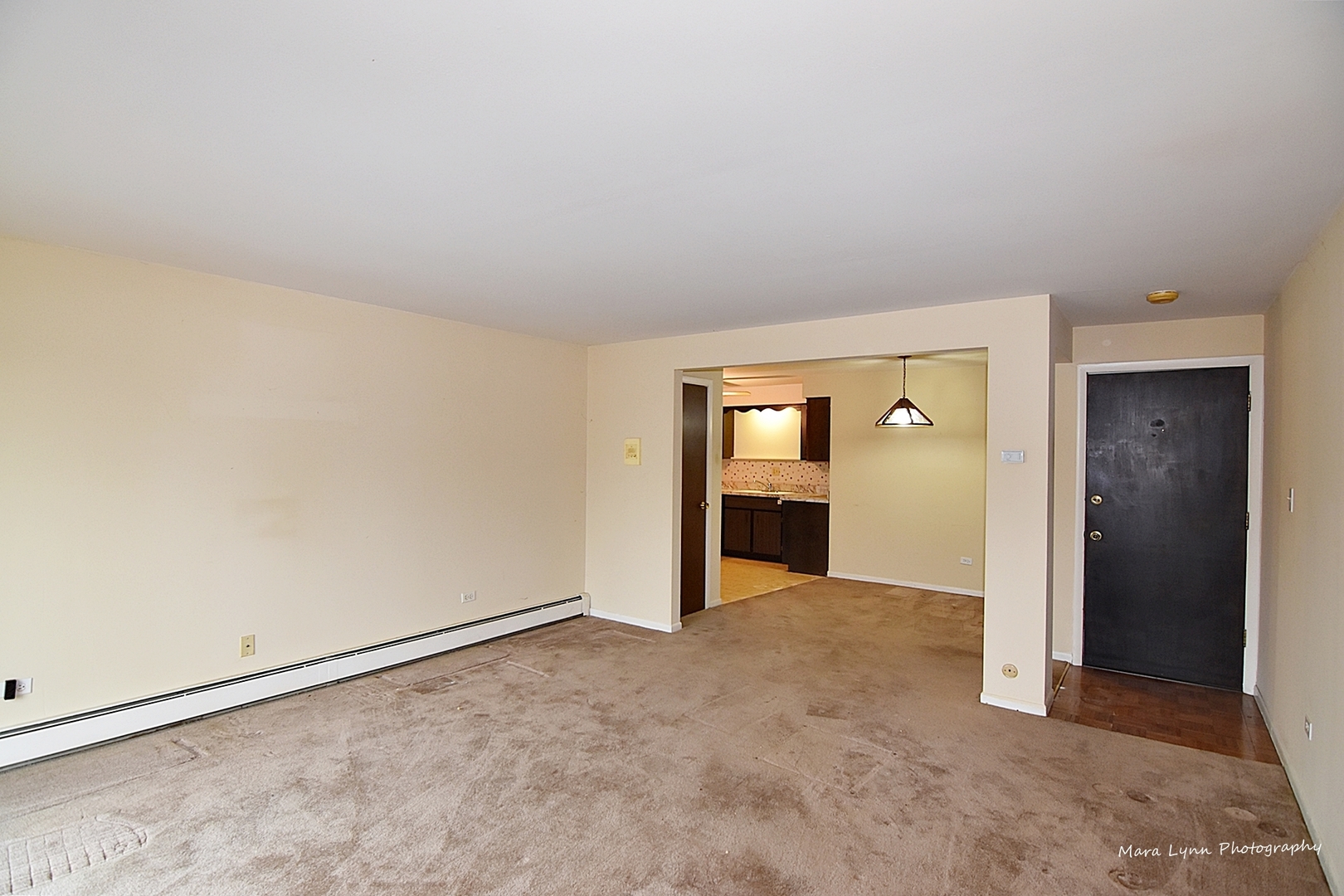 1220 South Lorraine Road, Unit 3F Wheaton, IL 60189 - Photo 10 of 23