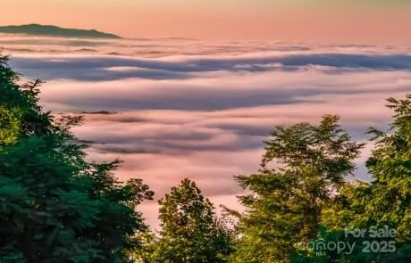 a view of barbeque area