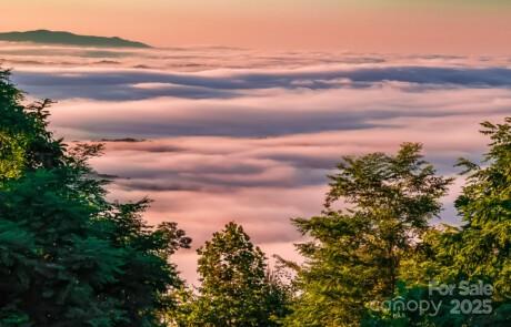 0 Shoal Ridge Union Mills, Unit 5 Union Mills, NC 28167 - Photo 7 of 14