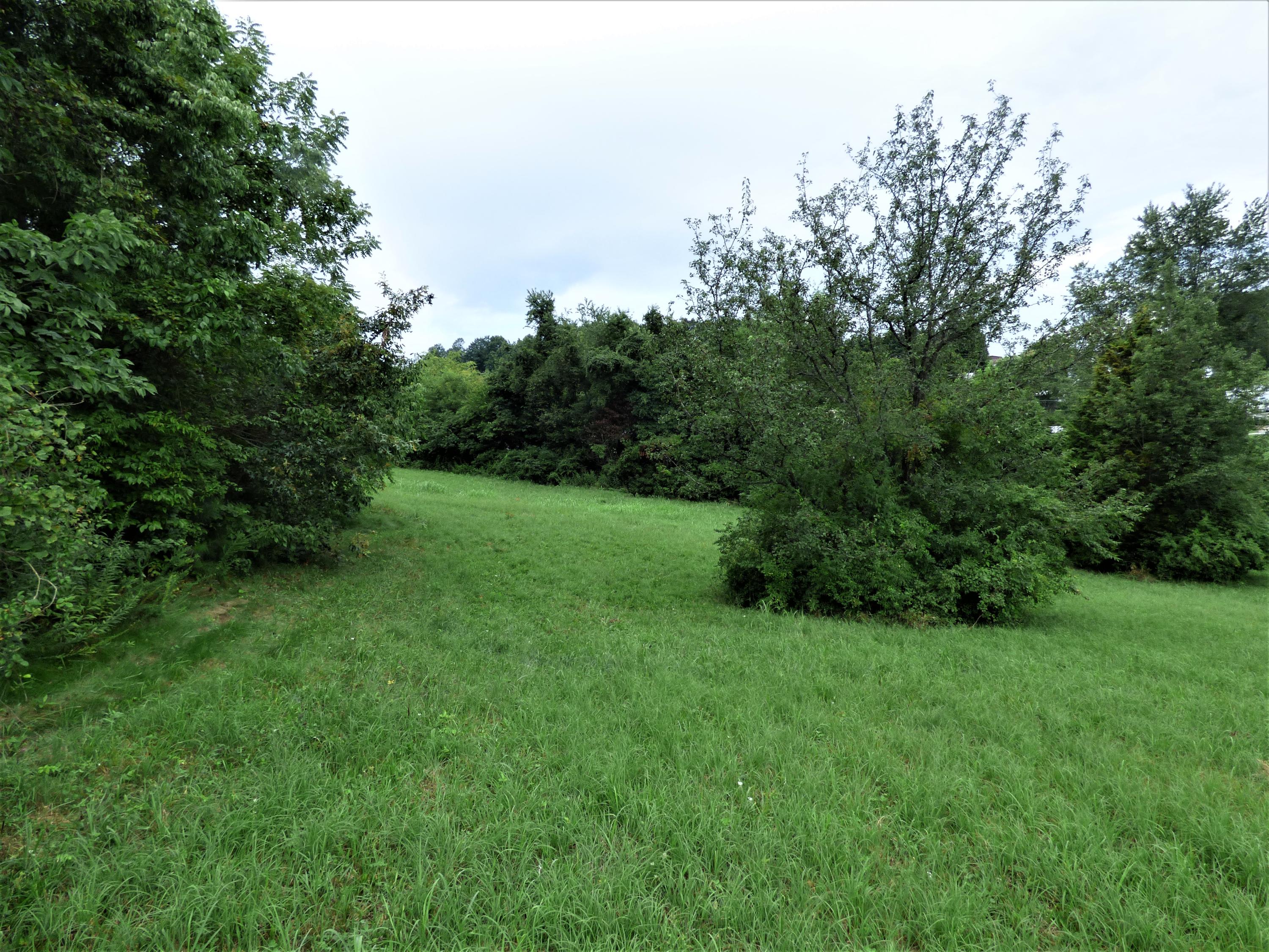 1128 Newman Riley Road Dandridge, TN 37725 - Photo 3 of 8 P1190672