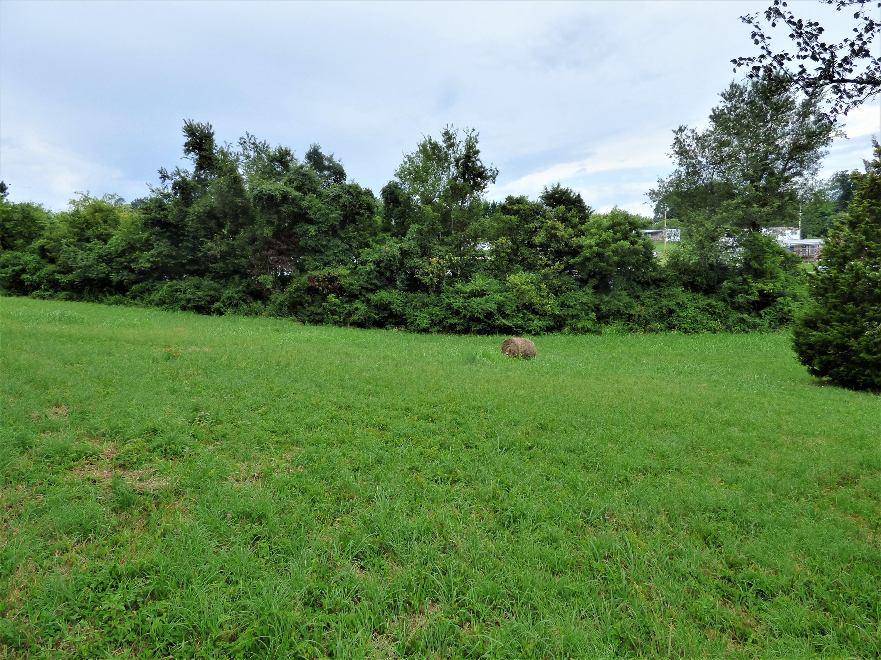 1128 Newman Riley Road Dandridge, TN 37725 - Photo 4 of 8 P1190673