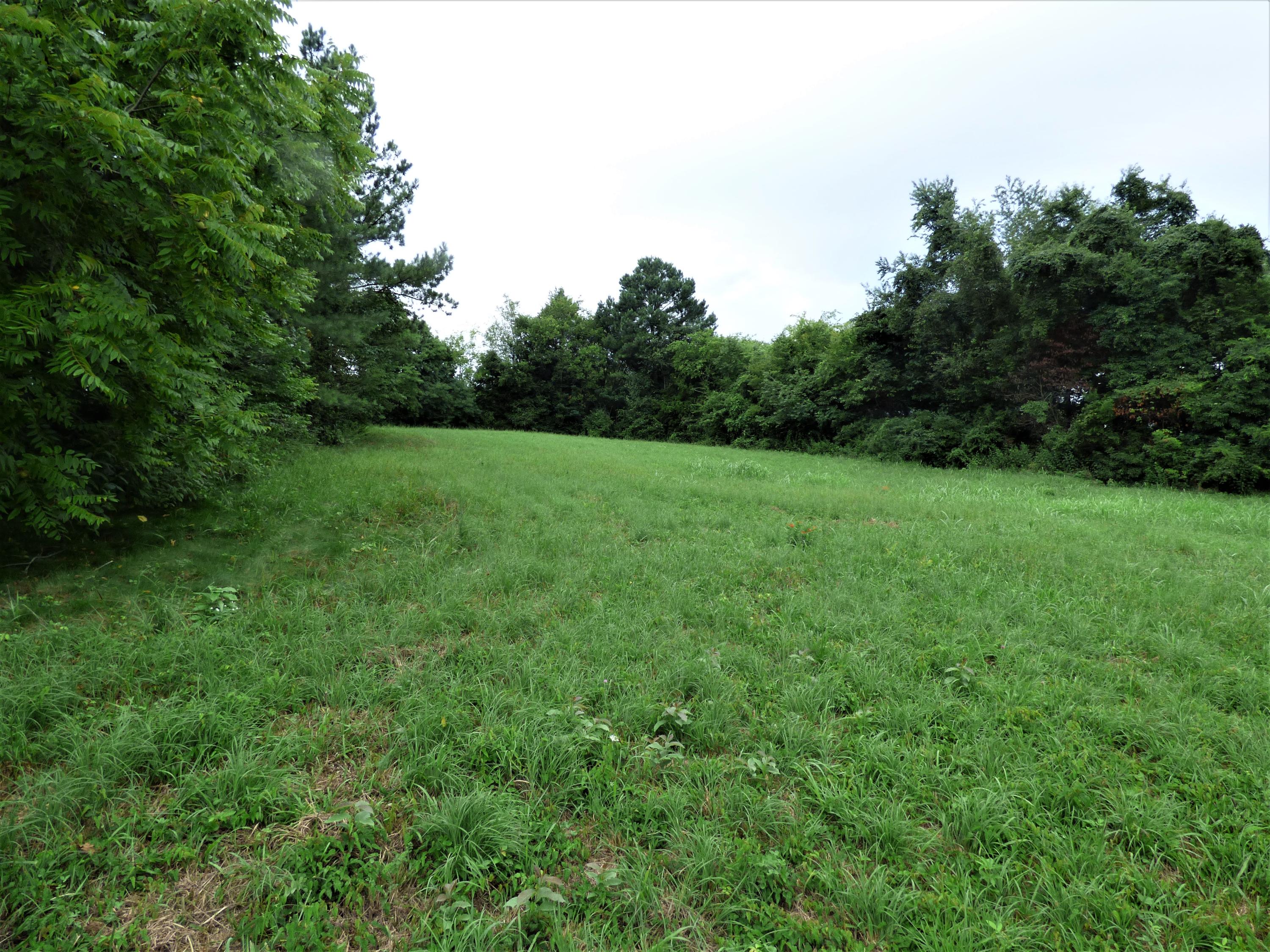 1128 Newman Riley Road Dandridge, TN 37725 - Photo 5 of 8 P1190674