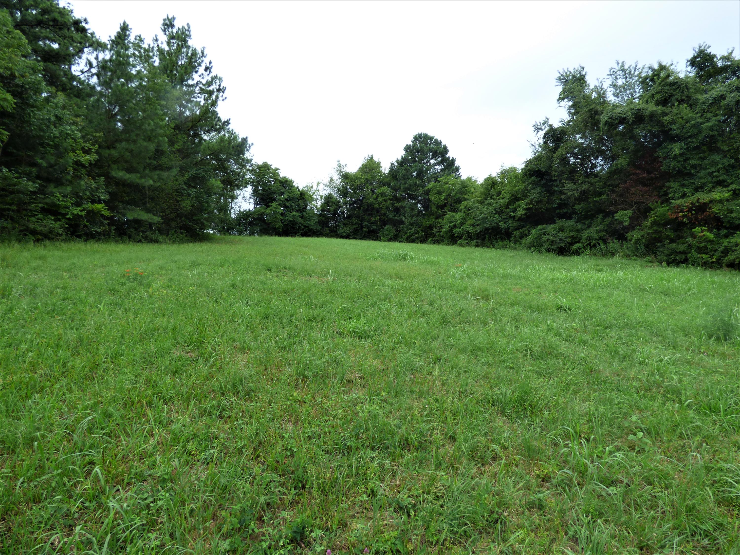 1128 Newman Riley Road Dandridge, TN 37725 - Photo 6 of 8 P1190675