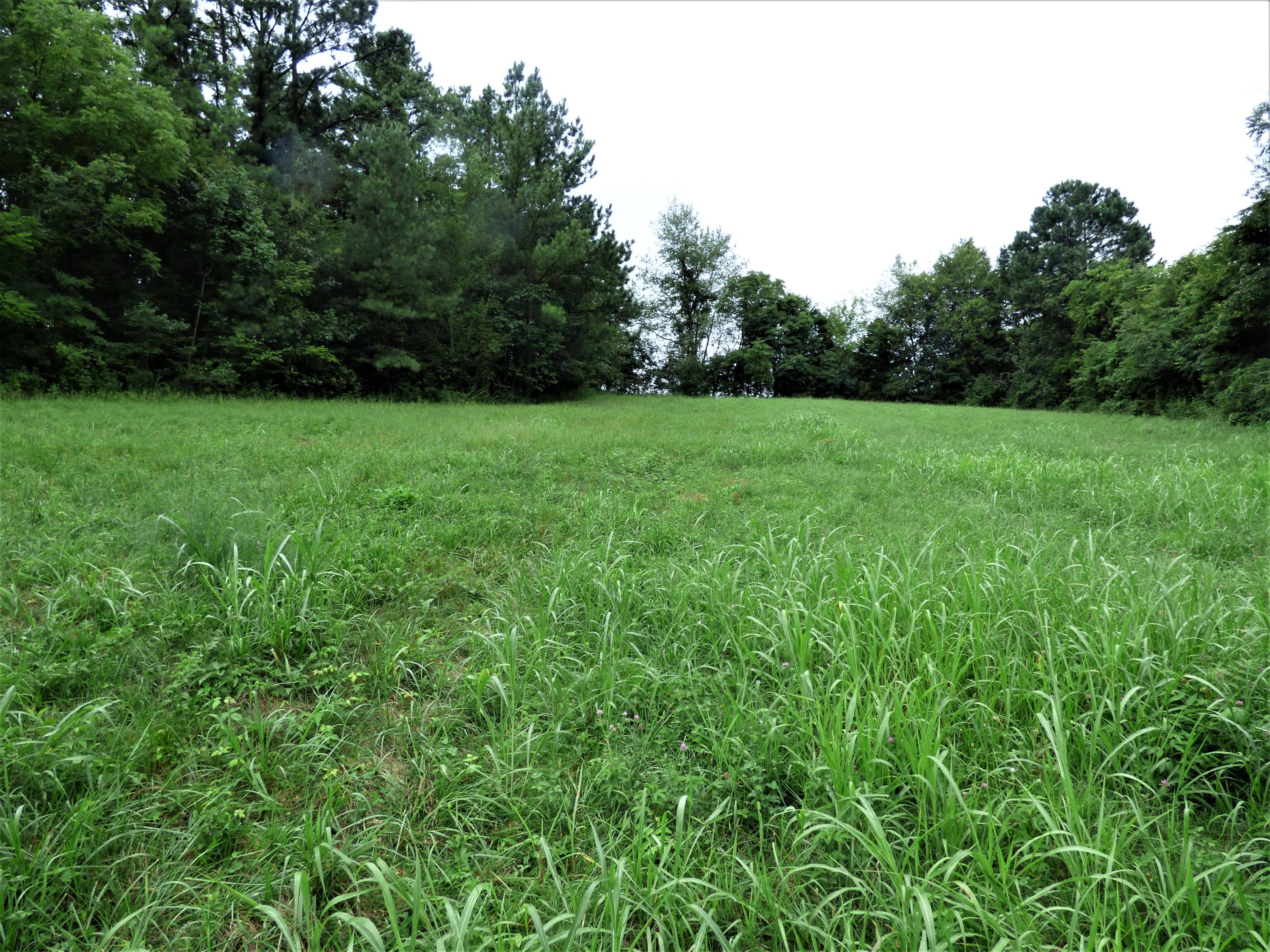 1128 Newman Riley Road Dandridge, TN 37725 - Photo 7 of 8 P1190676