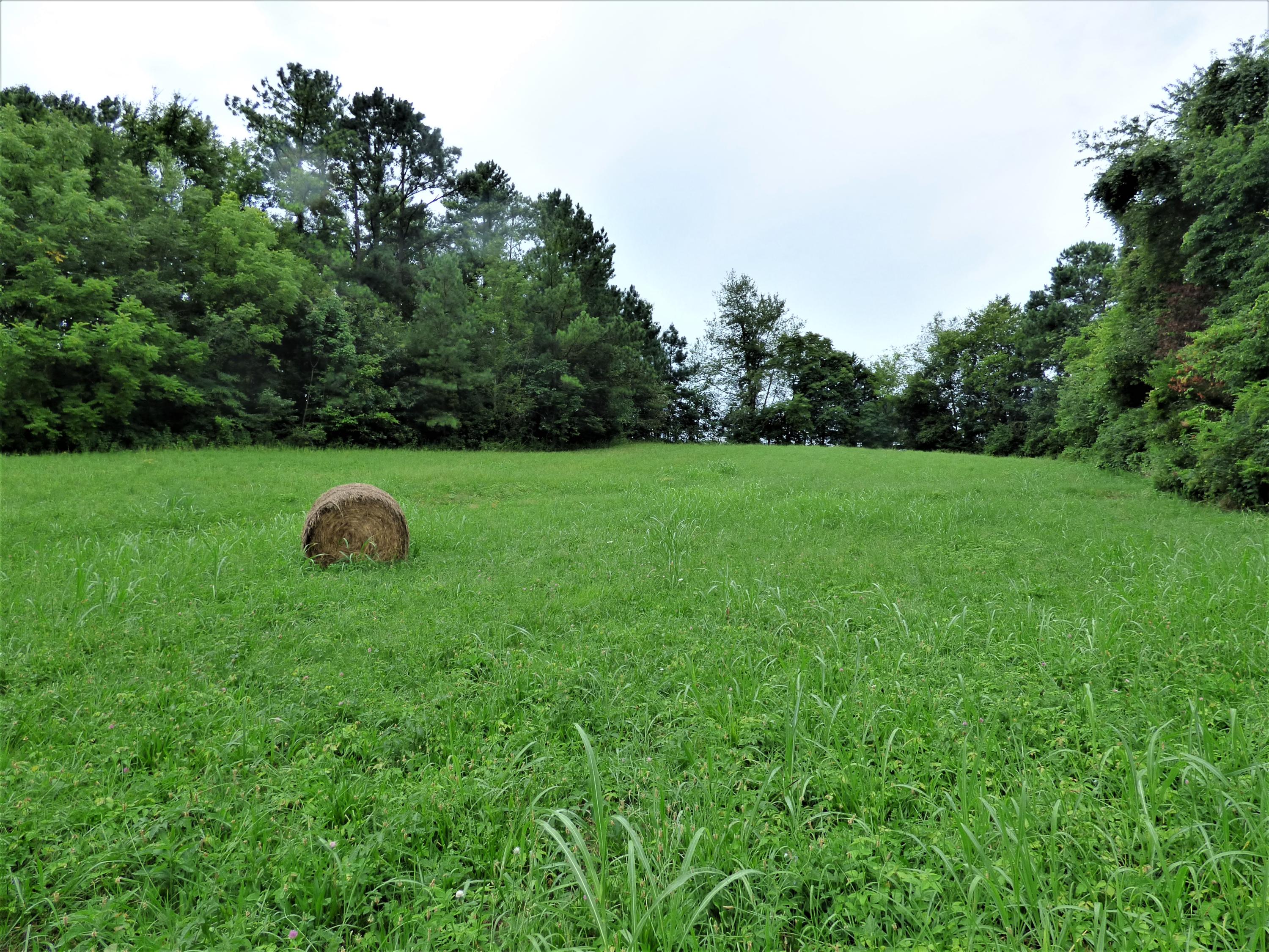1128 Newman Riley Road Dandridge, TN 37725 - Photo 8 of 8 P1190677