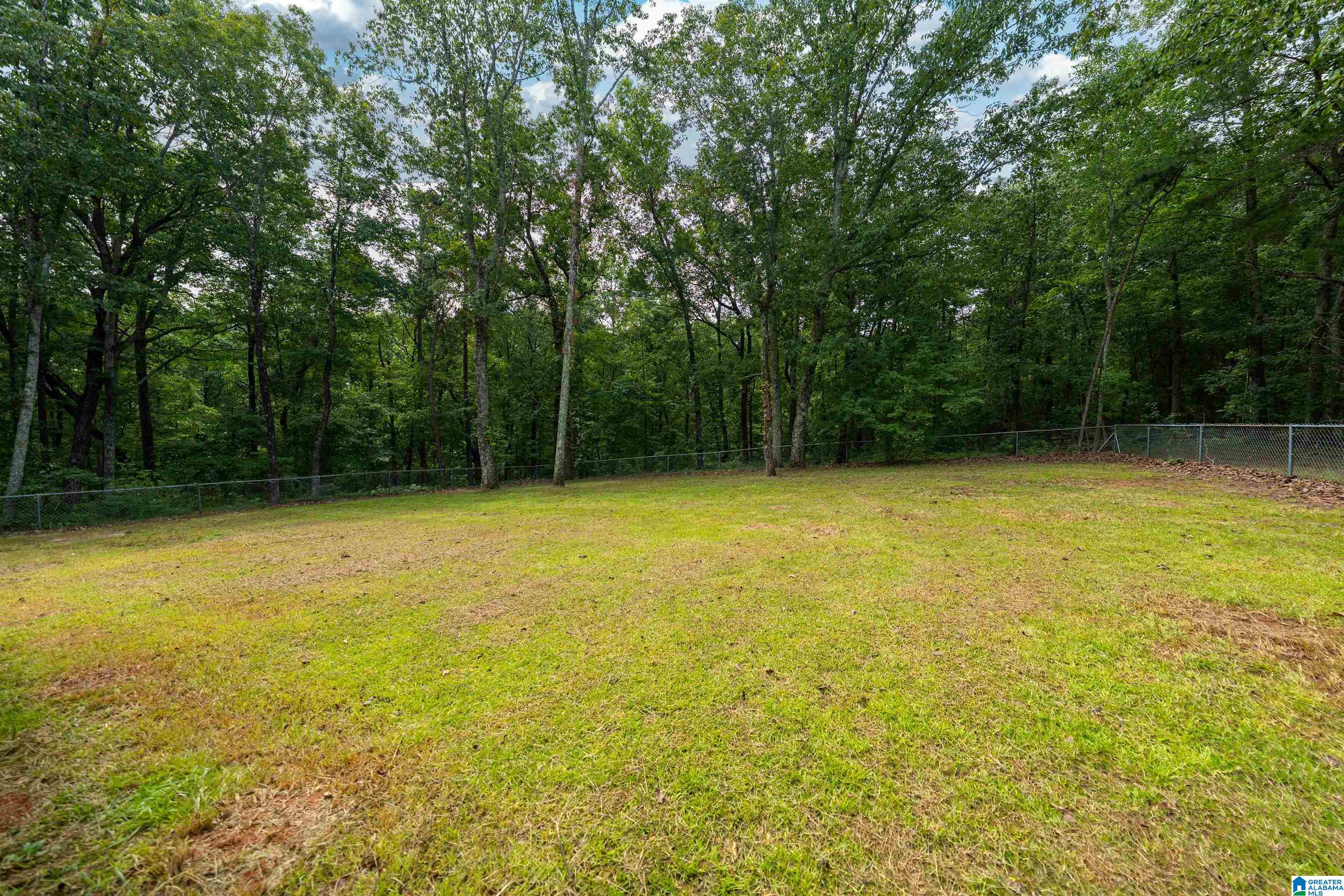 459 Tyler Road Remlap, AL 35133 - Photo 23 of 24 Gallery Image 23