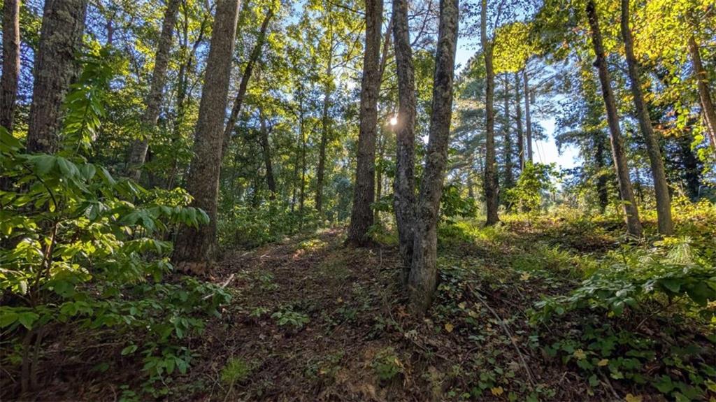 Lot 1 White Oak Circle Blue Ridge, GA 30513 - Photo 7 of 16 Gallery Image 7