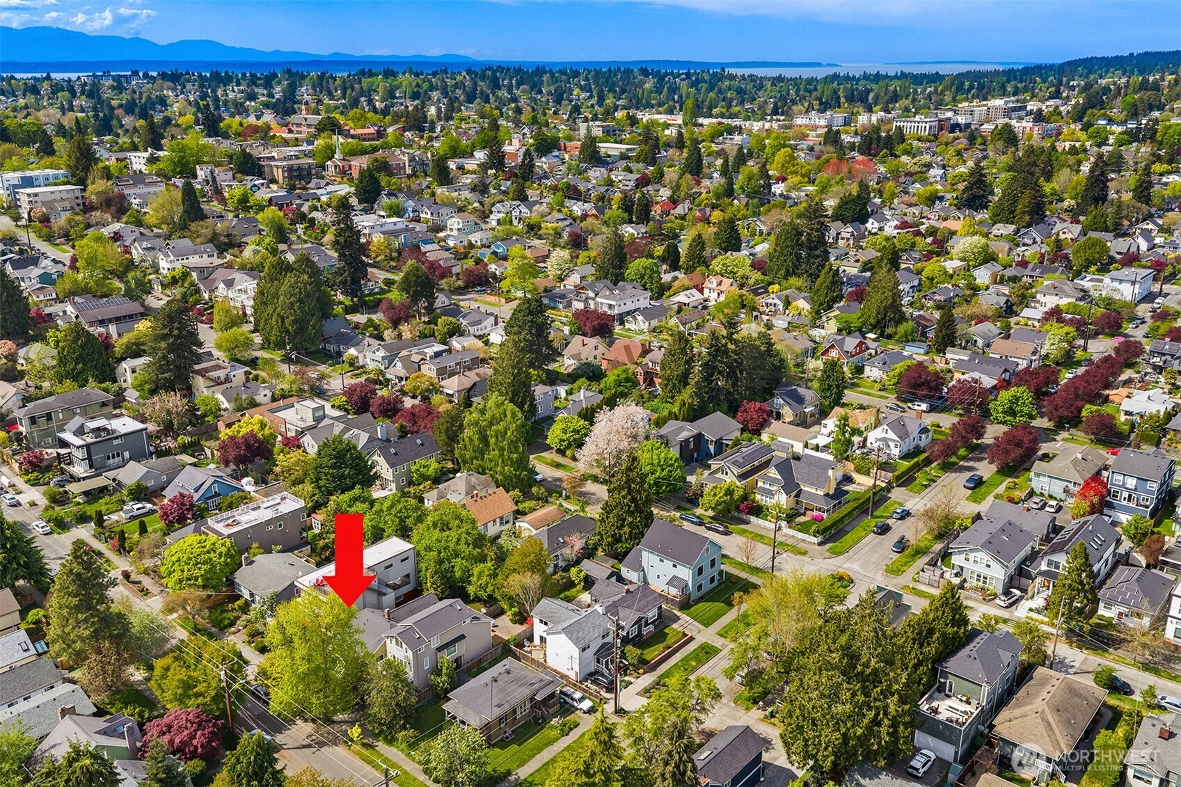 546 North 75th Street Seattle, WA 98103 - Photo 35 of 36