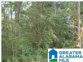 0 Lakeside Lane Alpine, AL 35014 - Photo 1 of 1