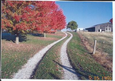 1611 Frog Branch Road Paint Lick, KY 40461 - Photo 22 of 33 the drive to your home