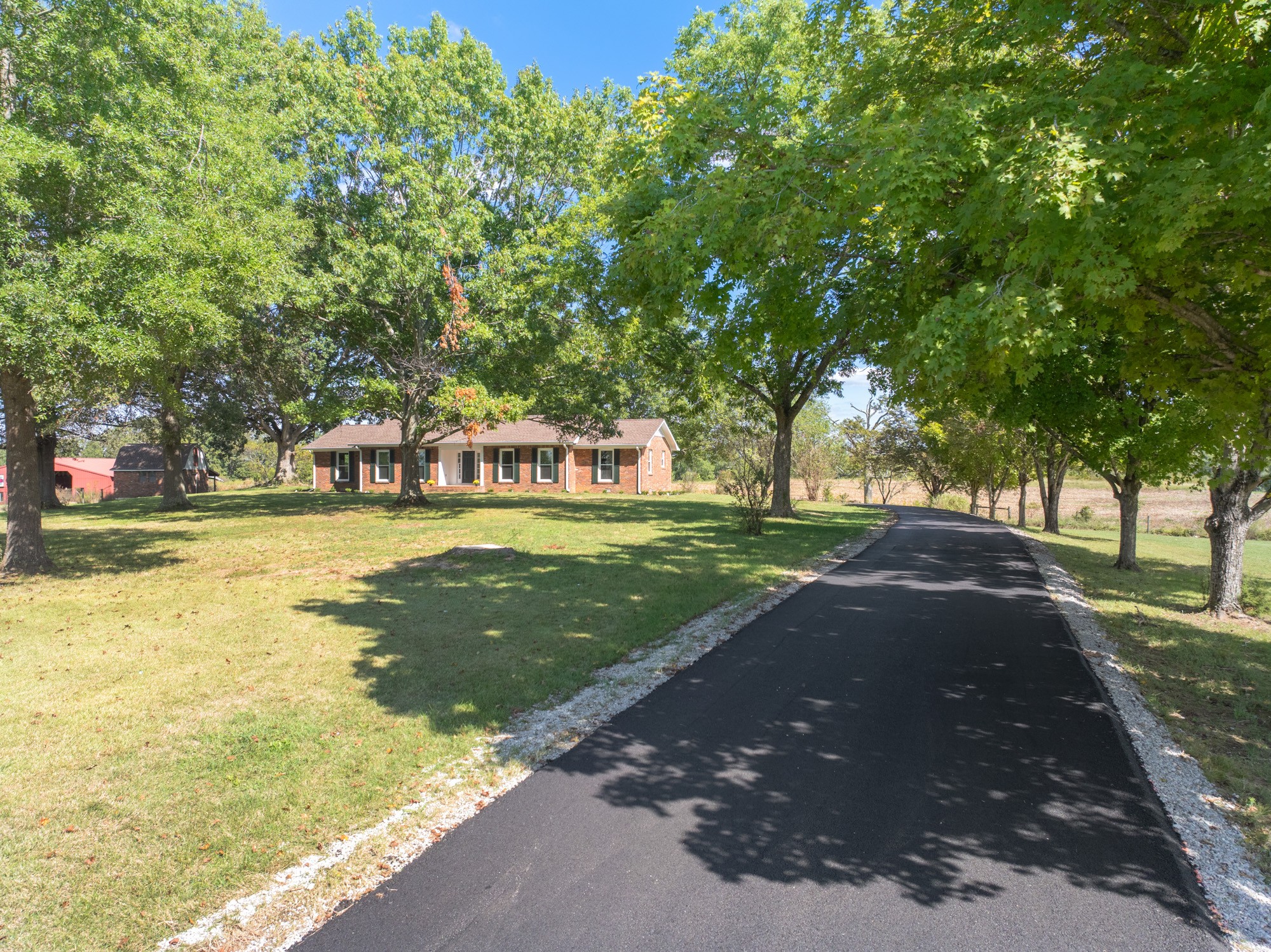 6920 Highway 192 Holladay, TN 38341 - Photo 5 of 38 a view of yard with swimming pool and trees
