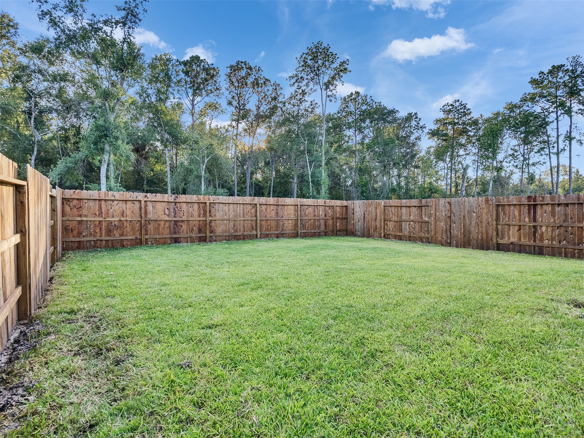 17974 Valle Cupa Lane New Caney, TX 77357 - Photo 26 of 36 a view of a backyard with palm tree