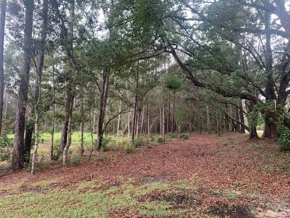 26348 Feely Road Elberta, AL 36530 - Photo 5 of 43