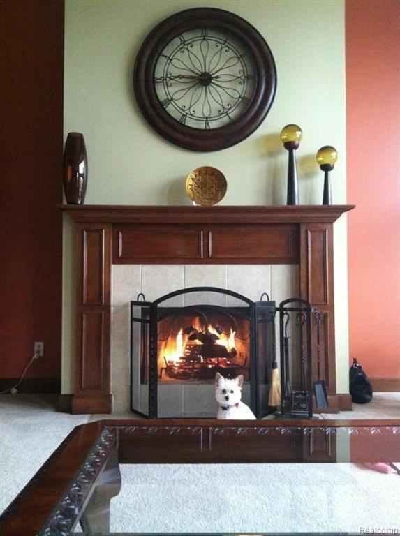 48042 Inveraray Road Canton, MI 48188 - Photo 6 of 25 Dog Not Included!