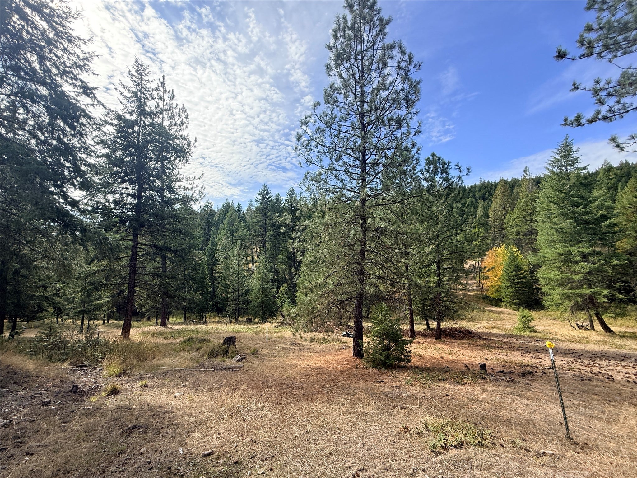 173 Cedar Creek Road Plains, MT 59859 - Photo 1 of 13 Gallery Image 1