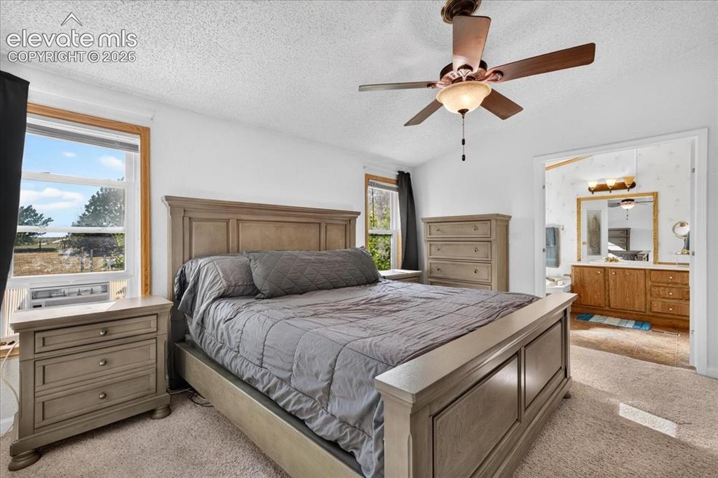 6210 Prospero Road Peyton, CO 80831 - Photo 7 of 26 Primary bedroom