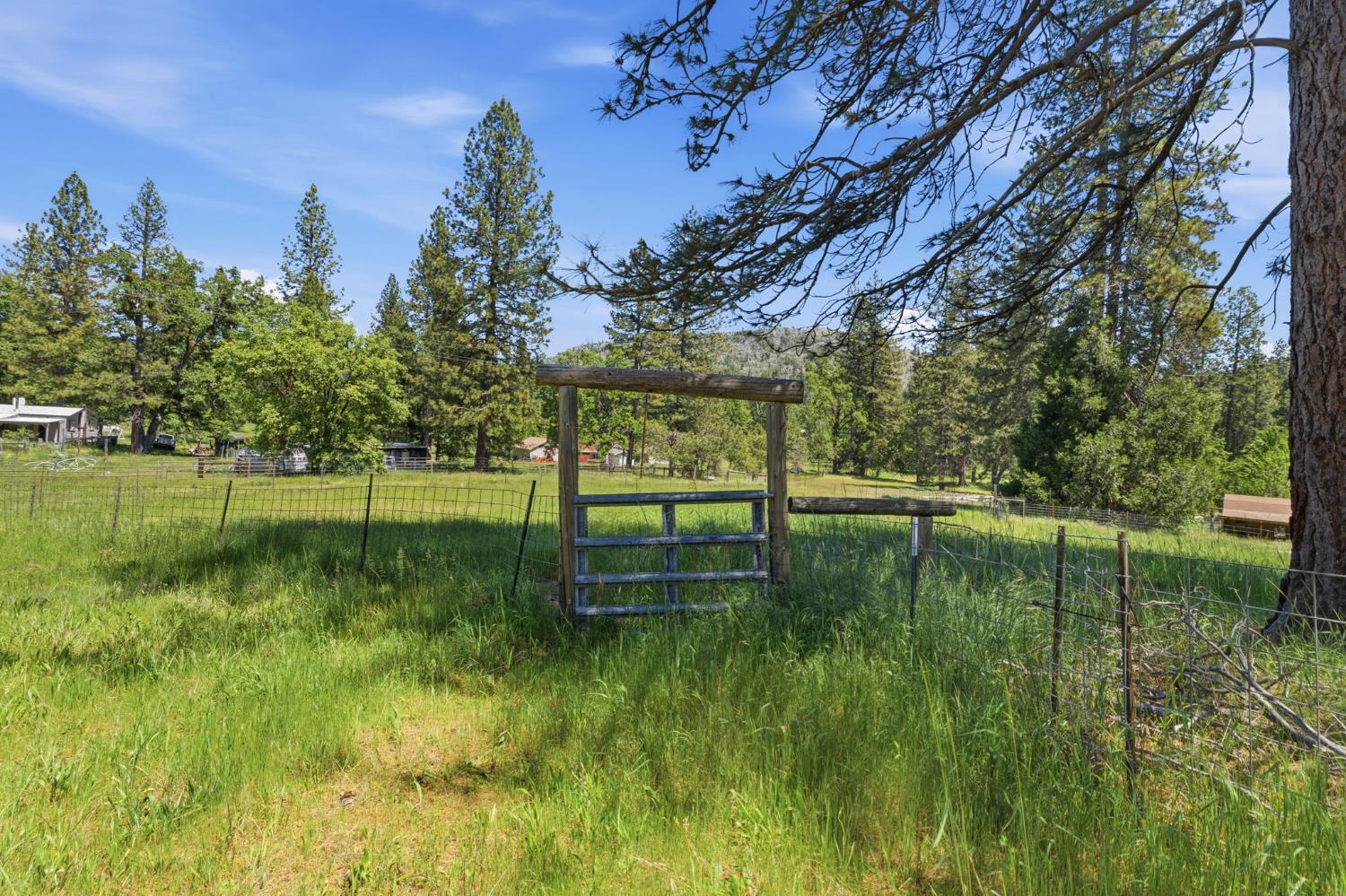 7019 Scott Road Mariposa, CA 95338 - Photo 62 of 77