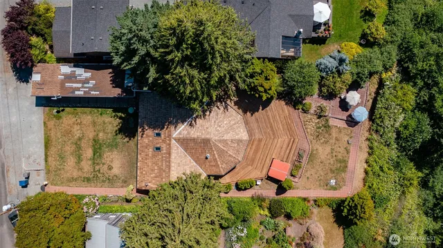 an aerial view of a garden with plants