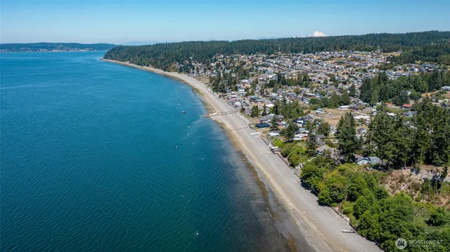 a view of a lake with a forest