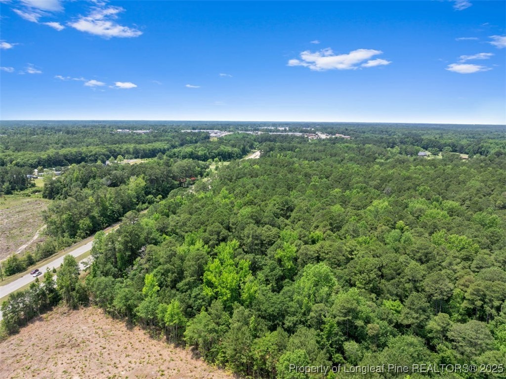 Tbd Camden Road Fayetteville, NC 28306 - Photo 12 of 14 a view of a city with lush green forest