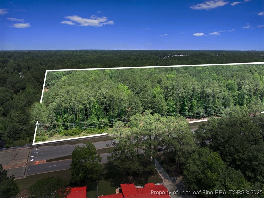 Tbd Camden Road Fayetteville, NC 28306 - Photo 3 of 14 a view of outdoor space and mountain view