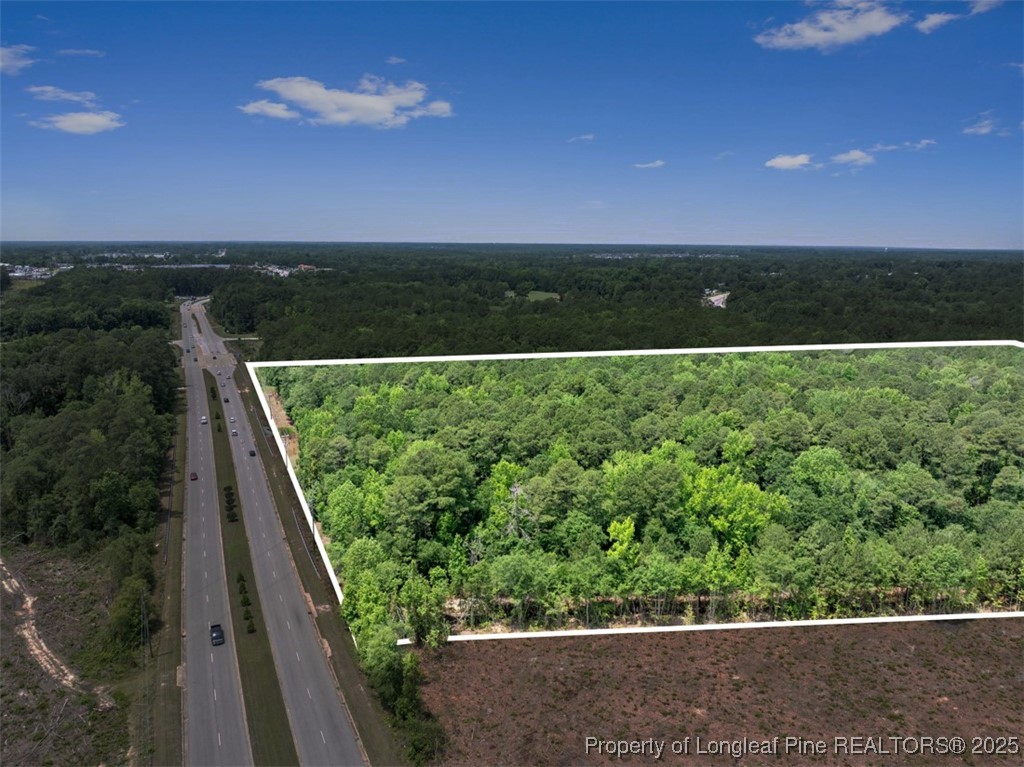 Tbd Camden Road Fayetteville, NC 28306 - Photo 4 of 14 a view of a yard with a lake view