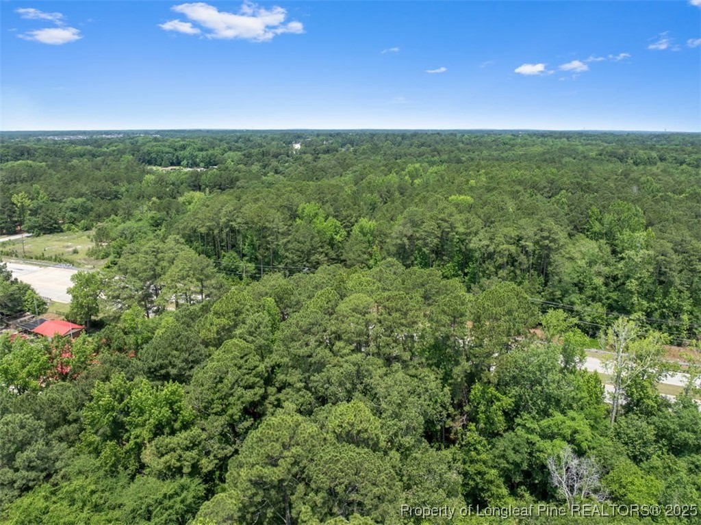 Tbd Camden Road Fayetteville, NC 28306 - Photo 10 of 14 a view of an outdoor space and a yard