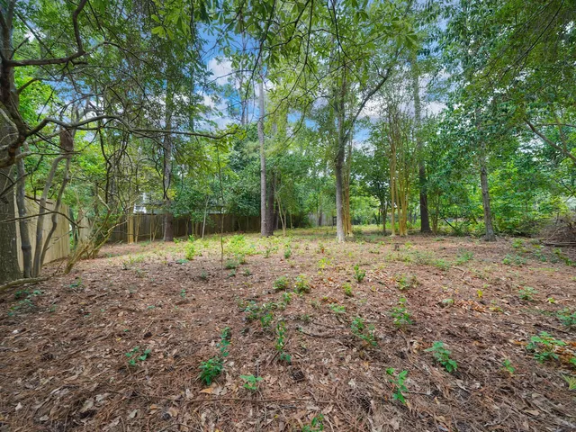 a backyard of a house with lots of green space