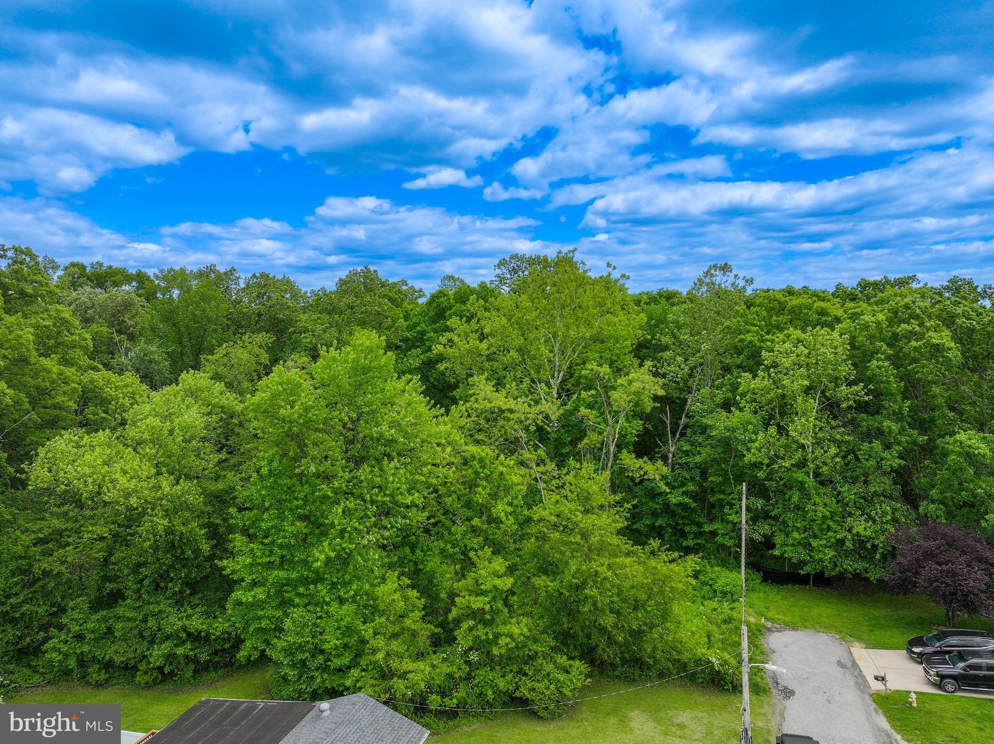 Evan Avenue Aberdeen, MD 21001 - Photo 35 of 74 a view of a city with lush green forest