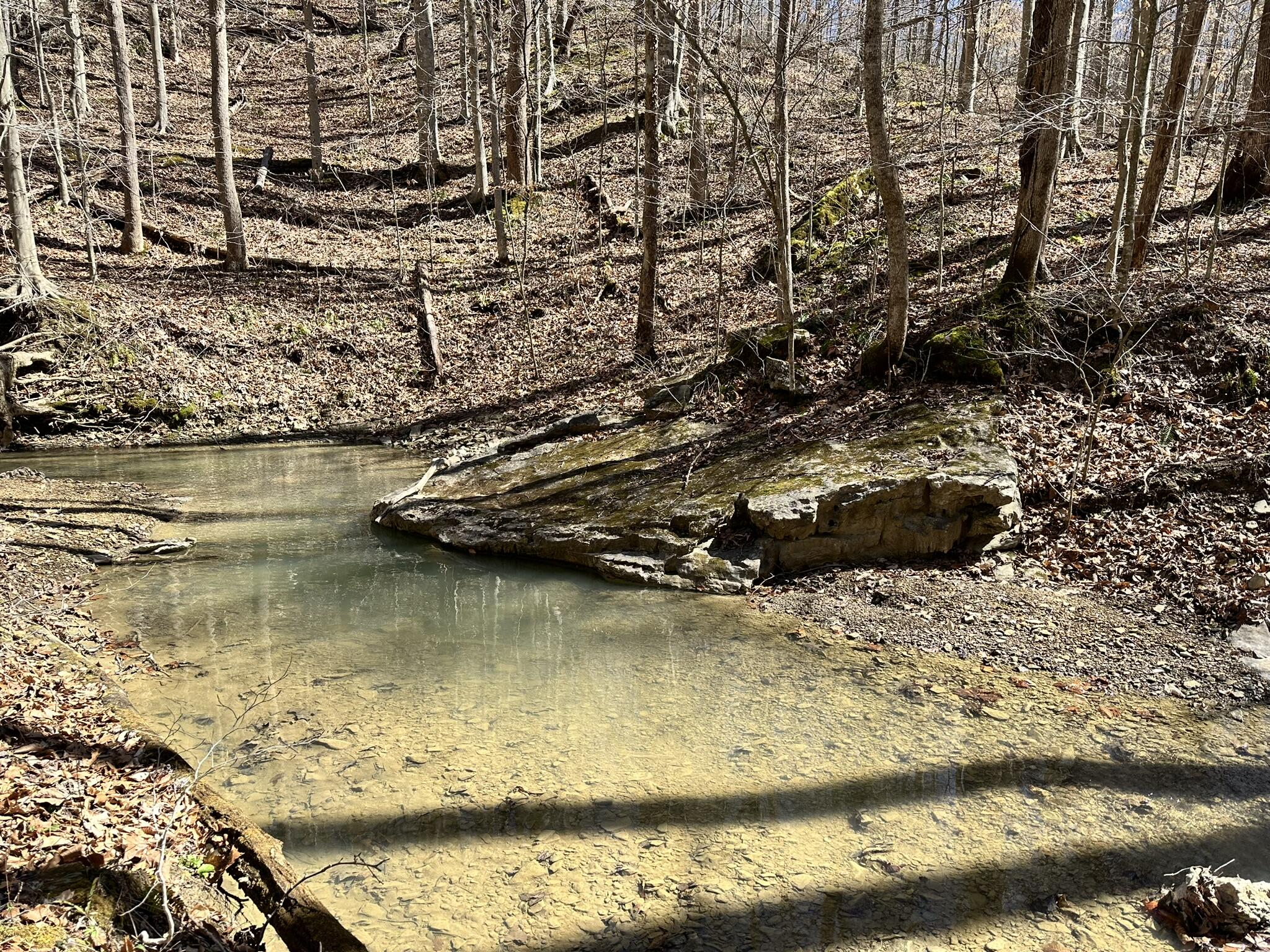 460.2 Cow Creek Road Ravenna, KY 40472 - Photo 26 of 46 Sun on the rock!