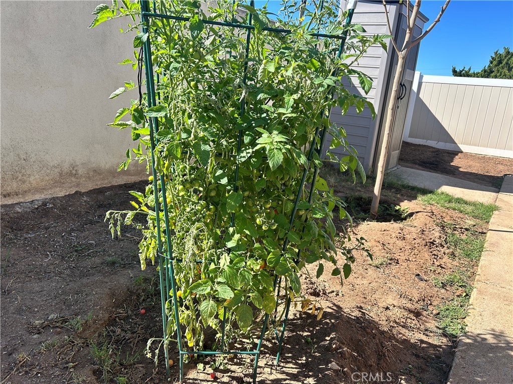10443 Nate Way Santee, CA 92071 - Photo 23 of 27 a view of a garden with plants