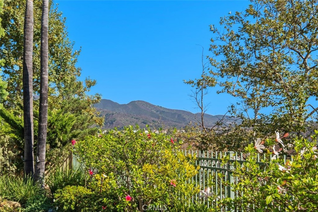 6 Muirfield Rancho Santa Margarita, CA 92679 - Photo 36 of 49 a view of a garden