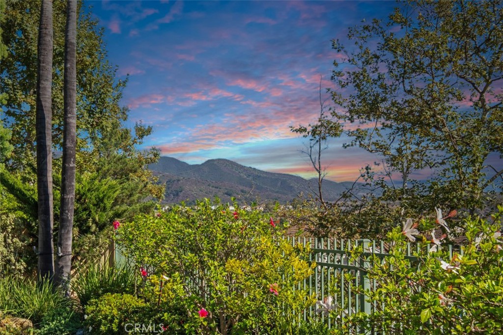 6 Muirfield Rancho Santa Margarita, CA 92679 - Photo 37 of 49 a backyard of a house with a garden