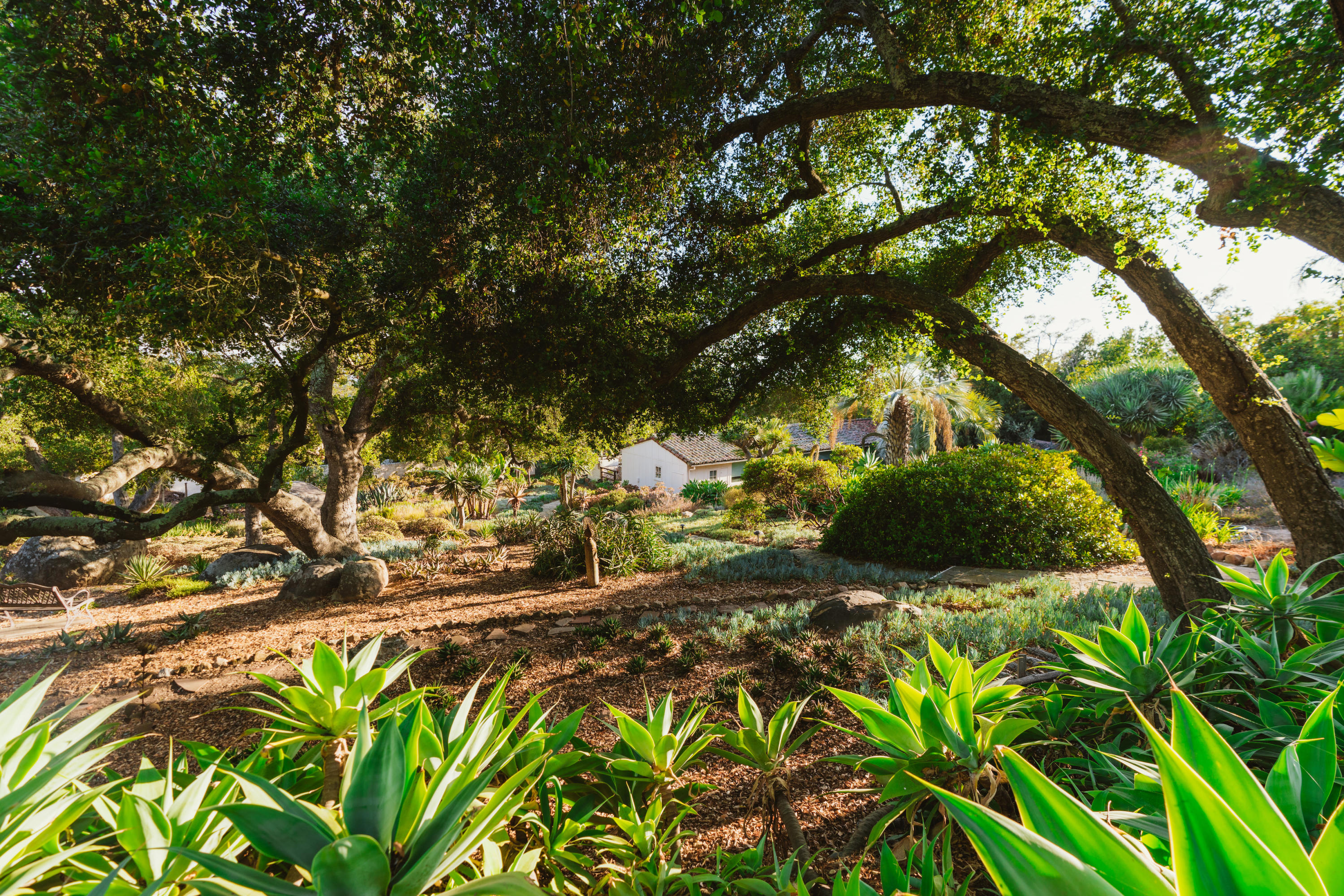 460 El Cielito Road Santa Barbara, CA 93105 - Photo 30 of 38 Gardens to Guest House