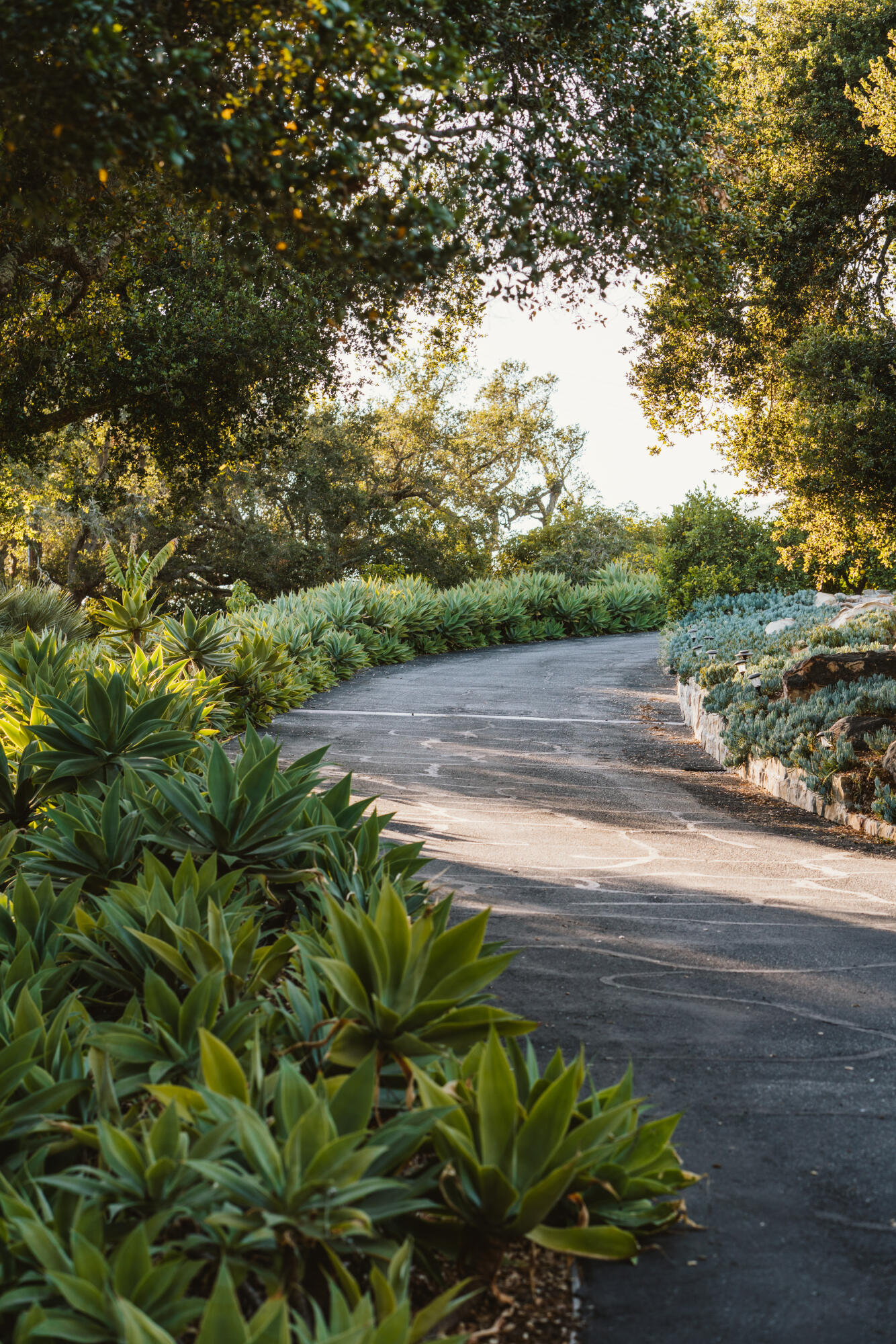 460 El Cielito Road Santa Barbara, CA 93105 - Photo 4 of 38 Driveway