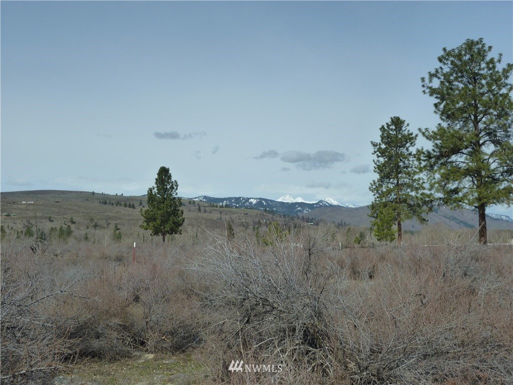 423 East County Road Winthrop, WA 98862 - Photo 5 of 10 Gallery Image 5