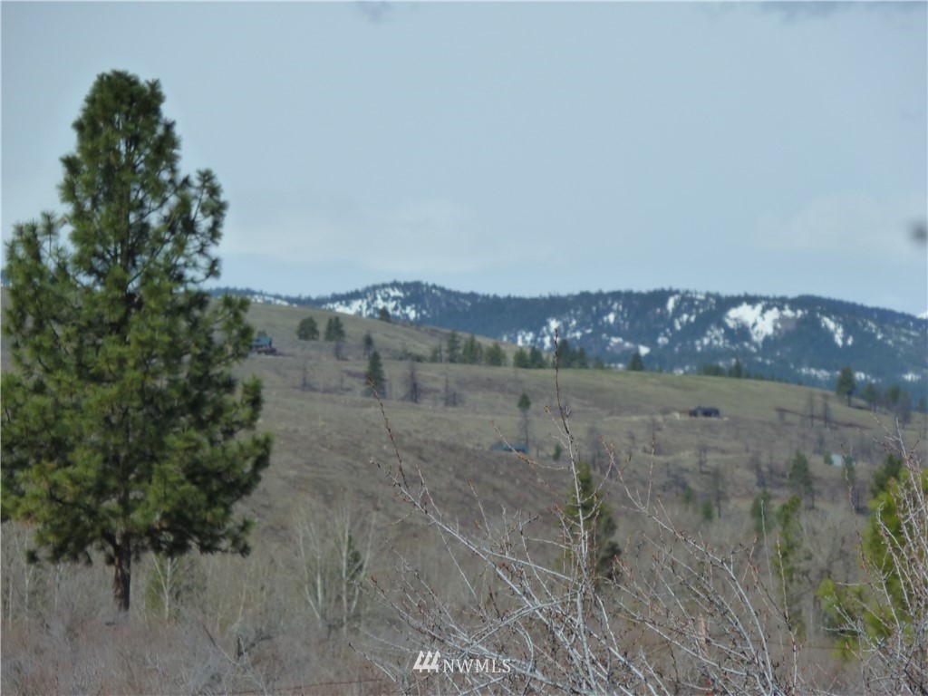 423 East County Road Winthrop, WA 98862 - Photo 6 of 10 Gallery Image 6