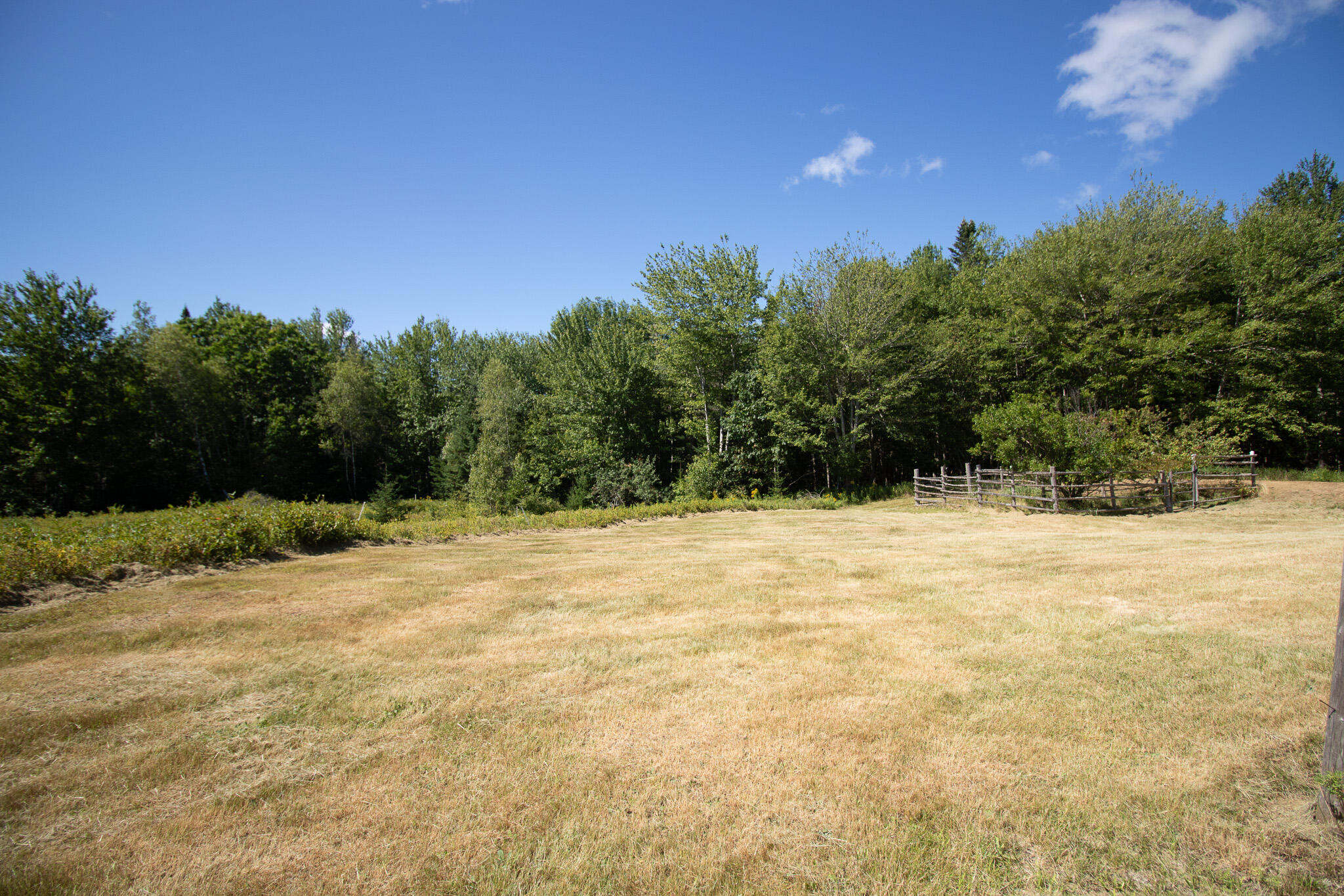141 Mill River Road Harrington, ME 04643 - Photo 16 of 32 IMG_6851