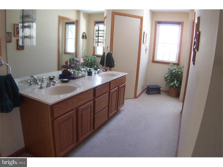 317 Richard Road Yardley, PA 19067 - Photo 14 of 25 Master Bathroom