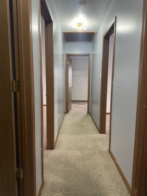 910 East 152nd Place Phoenix, IL 60426 - Photo 14 of 28 a view of hallway